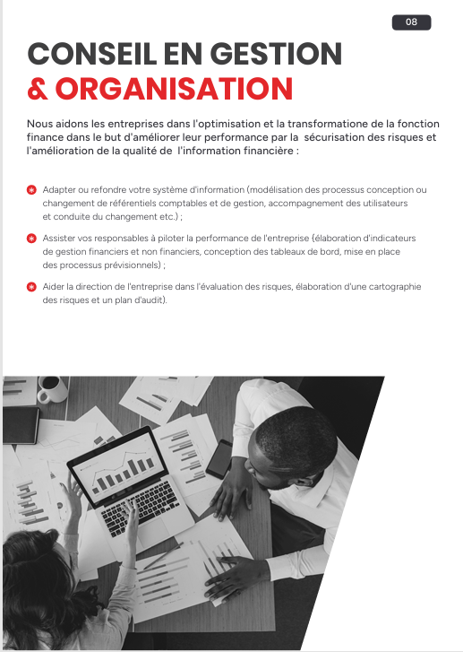 Illustration du conseil en gestion et organisation